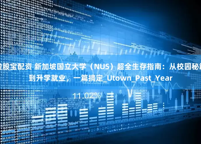 盈股宝配资 新加坡国立大学（NUS）超全生存指南：从校园秘籍到升学就业，一篇搞定_Utown_Past_Year
