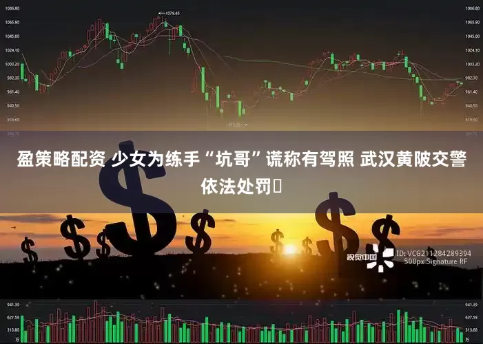 盈策略配资 少女为练手“坑哥”谎称有驾照 武汉黄陂交警依法处罚​