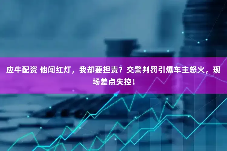 应牛配资 他闯红灯,我却要担责?交警判罚引爆车主怒火,现场差点失控!